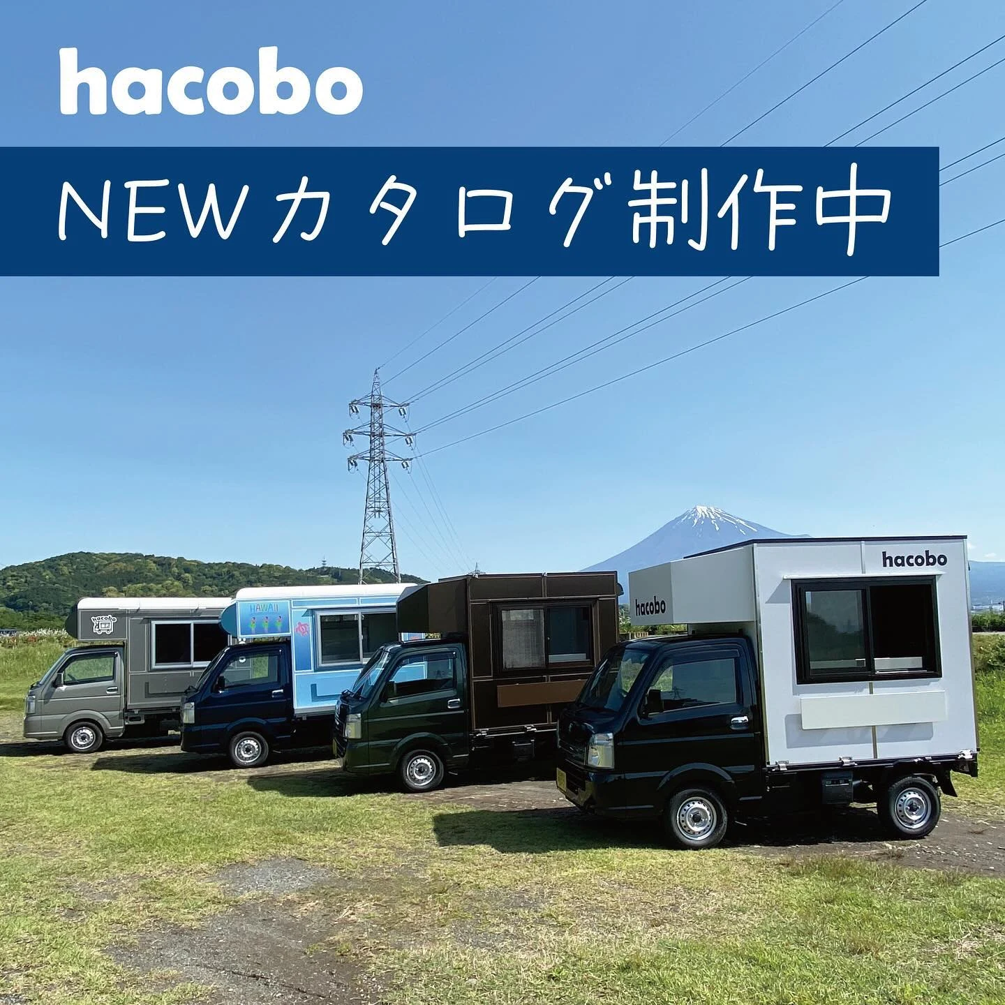 芝生の上に並ぶ、外観の異なるhacoboのキッチンカー